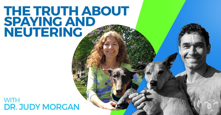PODCAST-Judy-Morgan-The-Truth-About-Spaying-and-Neutering-HEADLINE-IMAGE