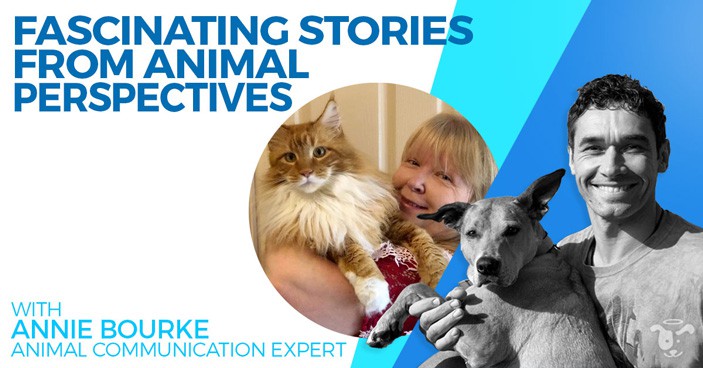 Podcast-Annie-Bourke-Shares-Fascinating-Stories-From-Animal-Perspectives-HEADLINE-IMAGE
