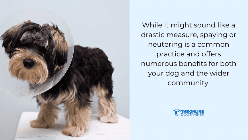 neutering for male pets