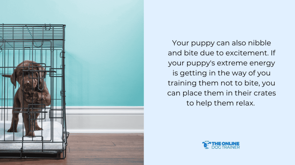 puppy crates for puppy biting