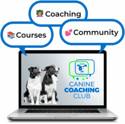 CCClogo+-Courses-+-Coaching-+-Community-Circles-vBest-Seller-TILE