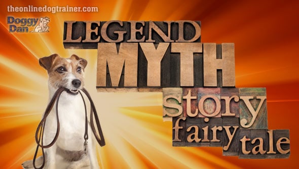 10 Biggest Dog Training Myths scrapped by Doggy Dan