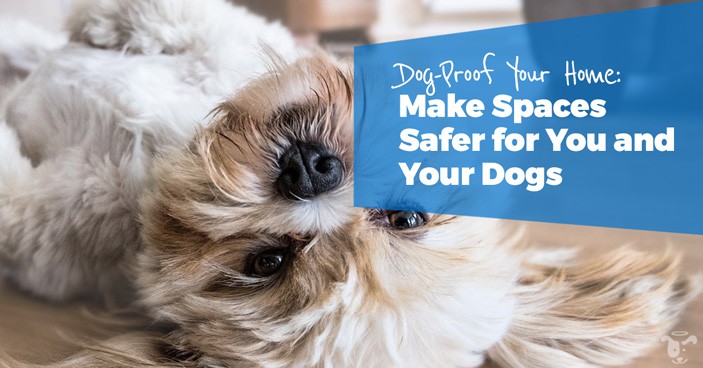 Dog Proof Your Home Headline