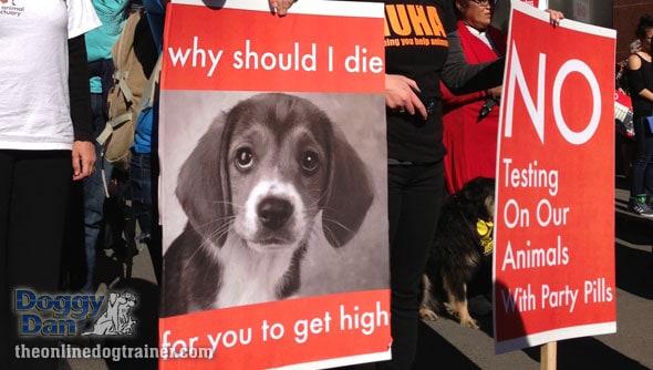 Doggy-Dan-Dog-March-Protest-Gallery