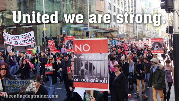 Doggy-Dan-Dog-March-Protest-Gallery4