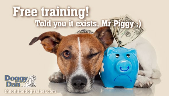 free doggy dan dog training online