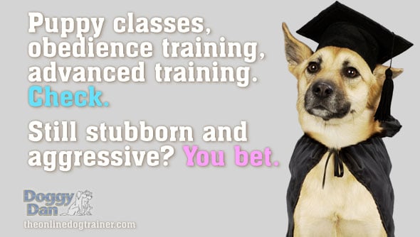 Puppy classes are not enough