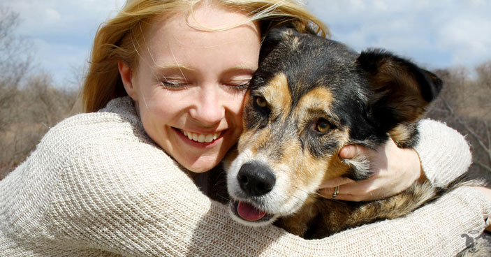 with proper training, dog aggression can be reduced