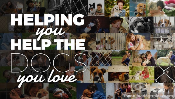 Helping You Help the Dogs You Love In Your Area