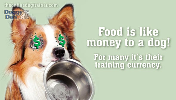 How to use food in your dog training