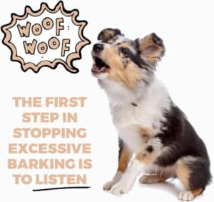 Stop ANY Barking Without Hurting Your Dog or Puppy