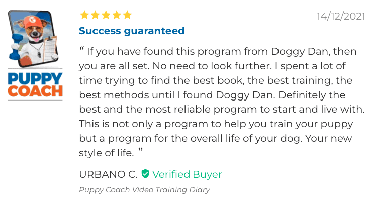 Puppy coach review 2