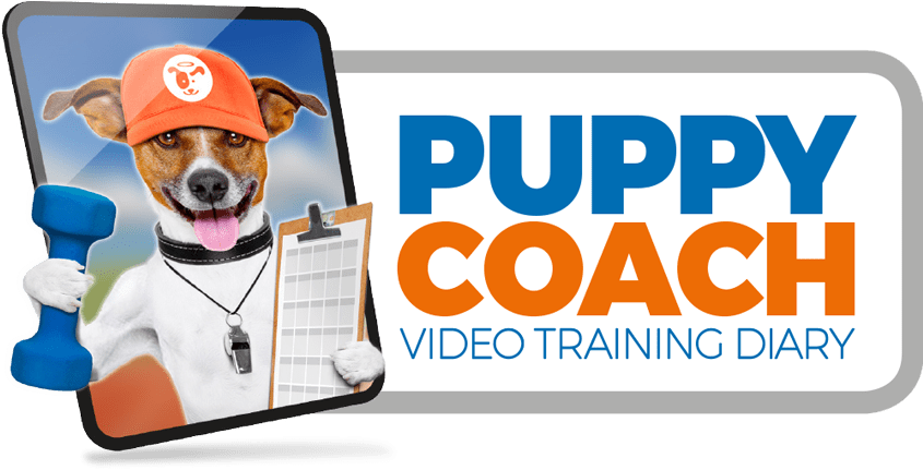 Puppy Coach Program