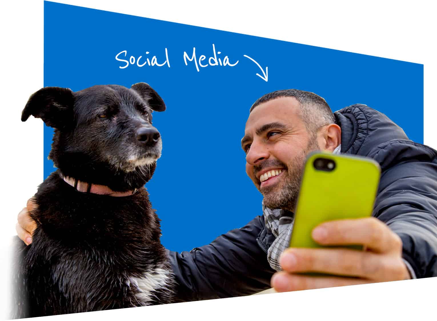 how to correct dog behavior