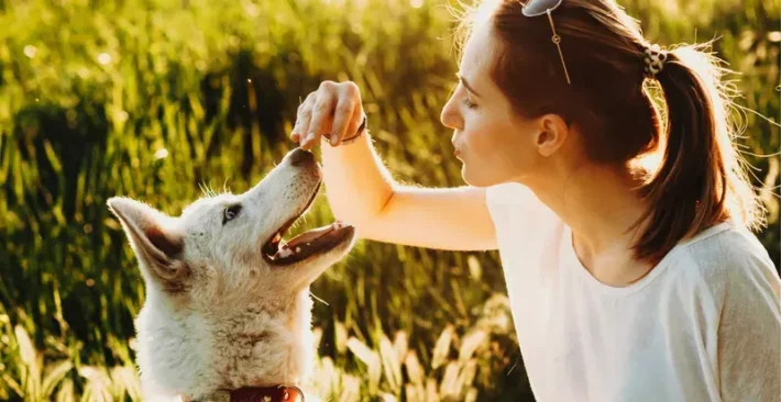 Intentional communication with dog