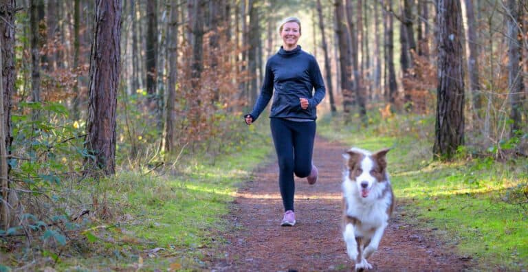 Best Exercises for Dogs: Why Dogs Need it For Healthy Body and Brain cover