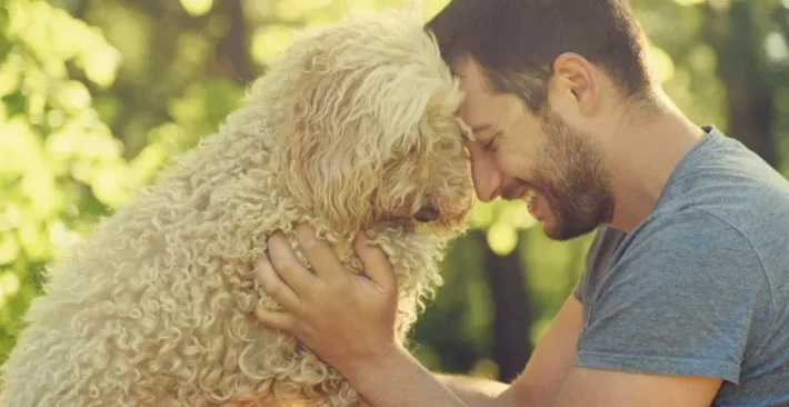 how to bond with your dog