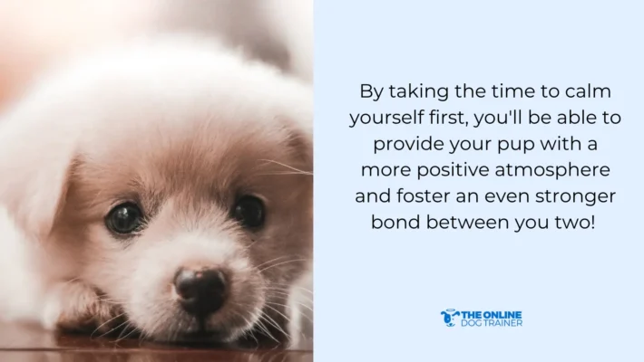 how to calm a puppy