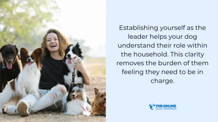 training canine companion