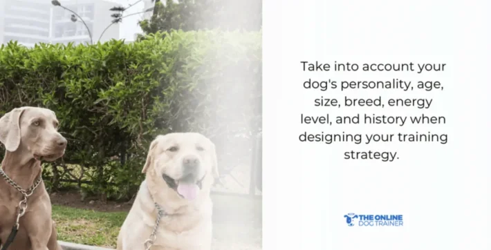 does breed affect dog training