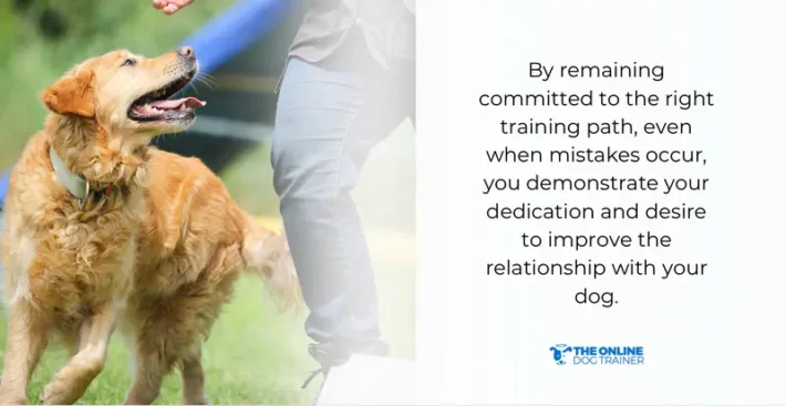 dog trainer tips