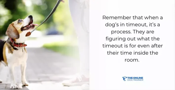 how timeout helps dog owners