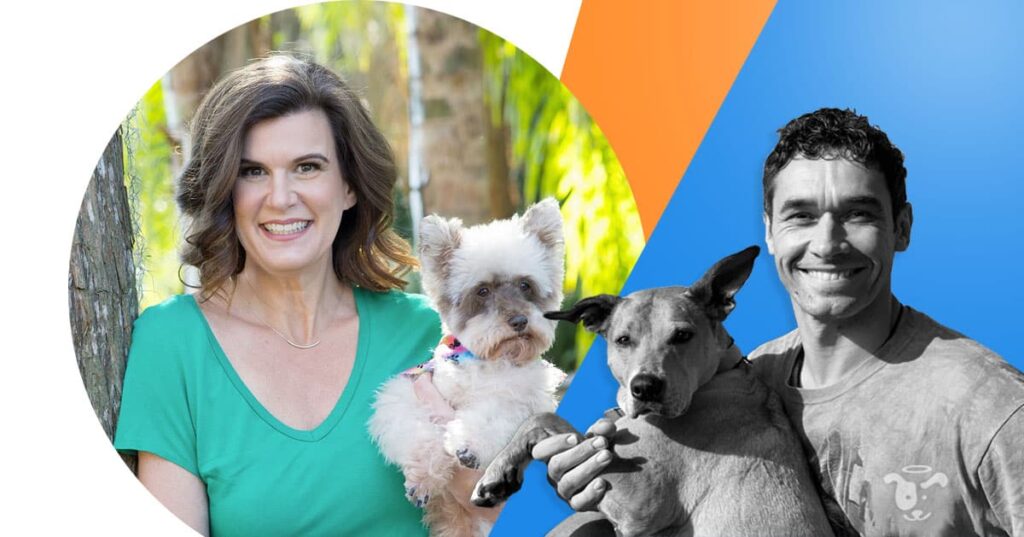 doggy dan dog calming code