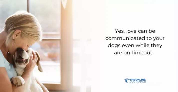 stimuli for negative dog behavior