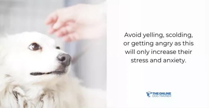 warning cue timeout dogs