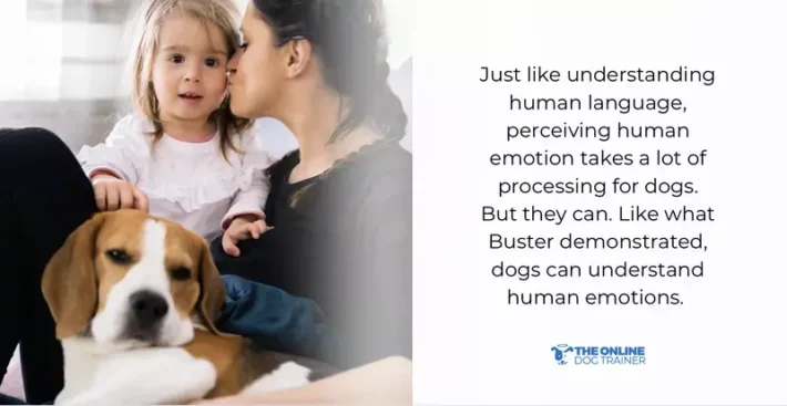 can dogs understand english