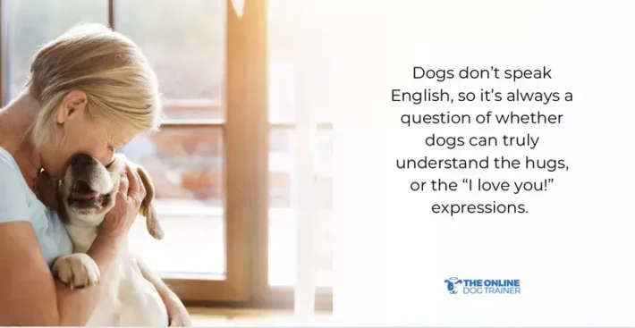 can dogs understand humans