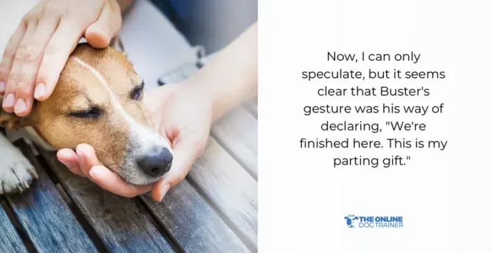 can dogs understand humans