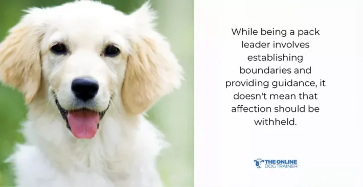 good boy dog love language