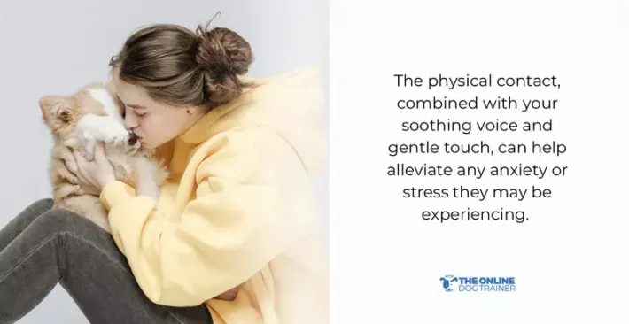 humans connect with dogs