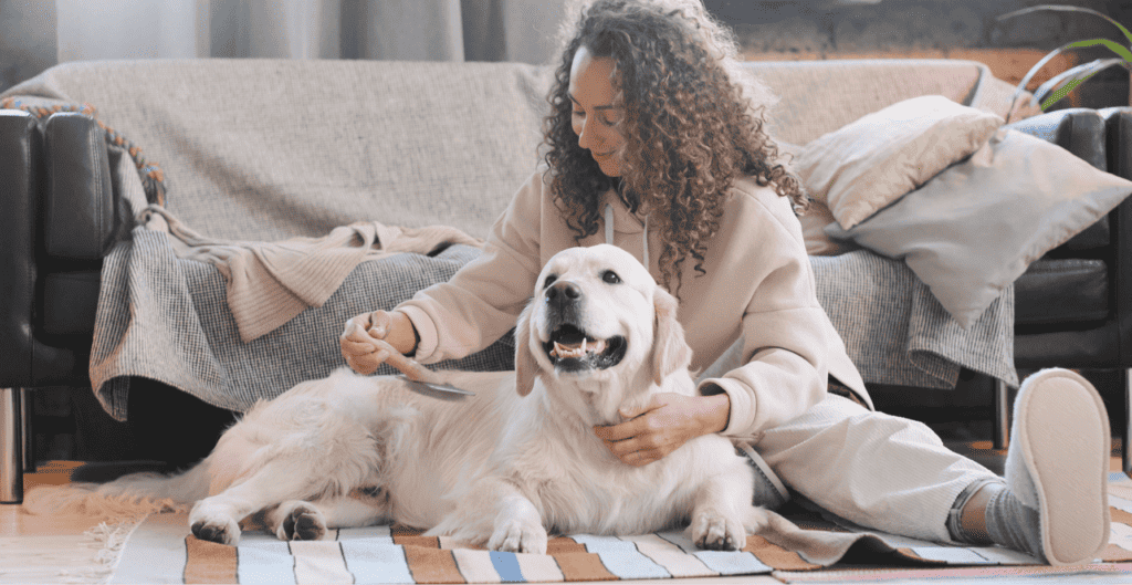 How to Bond With Your Dog: Connect and Understand Dogs Better cover