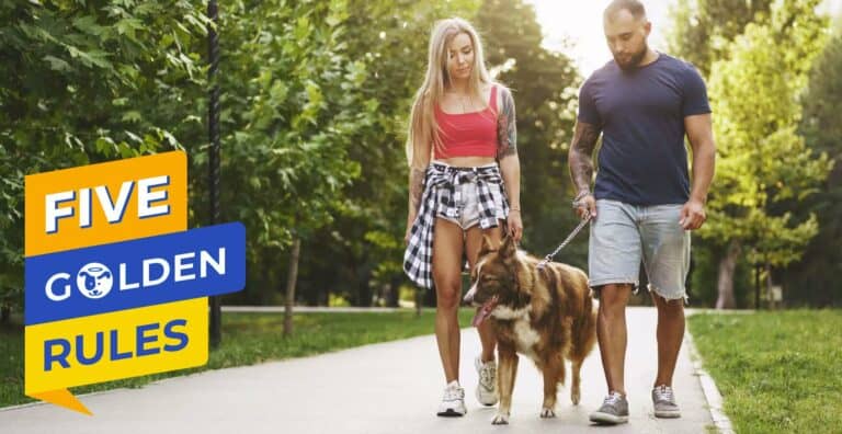 How to Walk Your Dog: Doggy Dan Golden Rule #5 cover