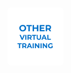 Other Virtual Training