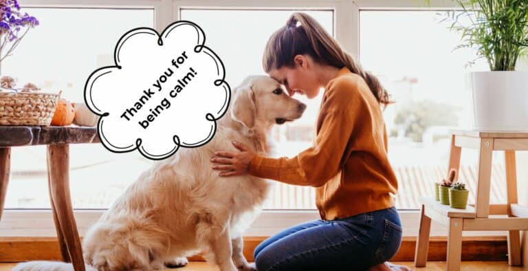 Dogs Not Listening? Here’s How to Get Dogs To Listen More cover