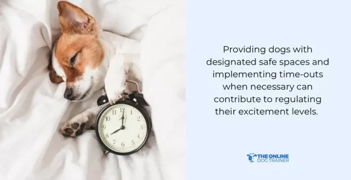 eye contact with dogs benefits