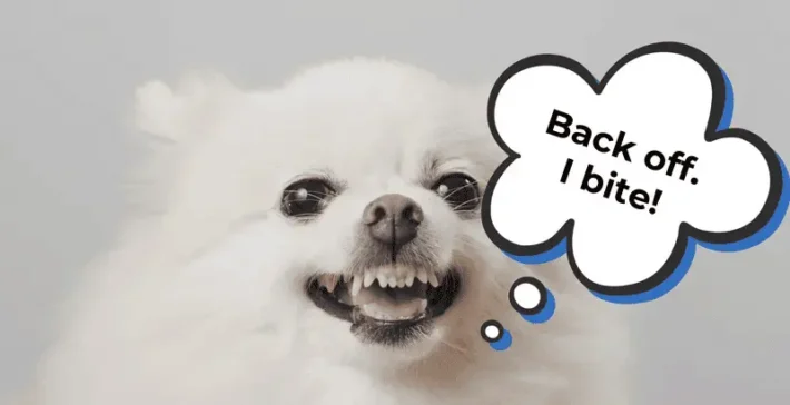 dog snapping at people