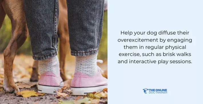 most effective way to calm dogs