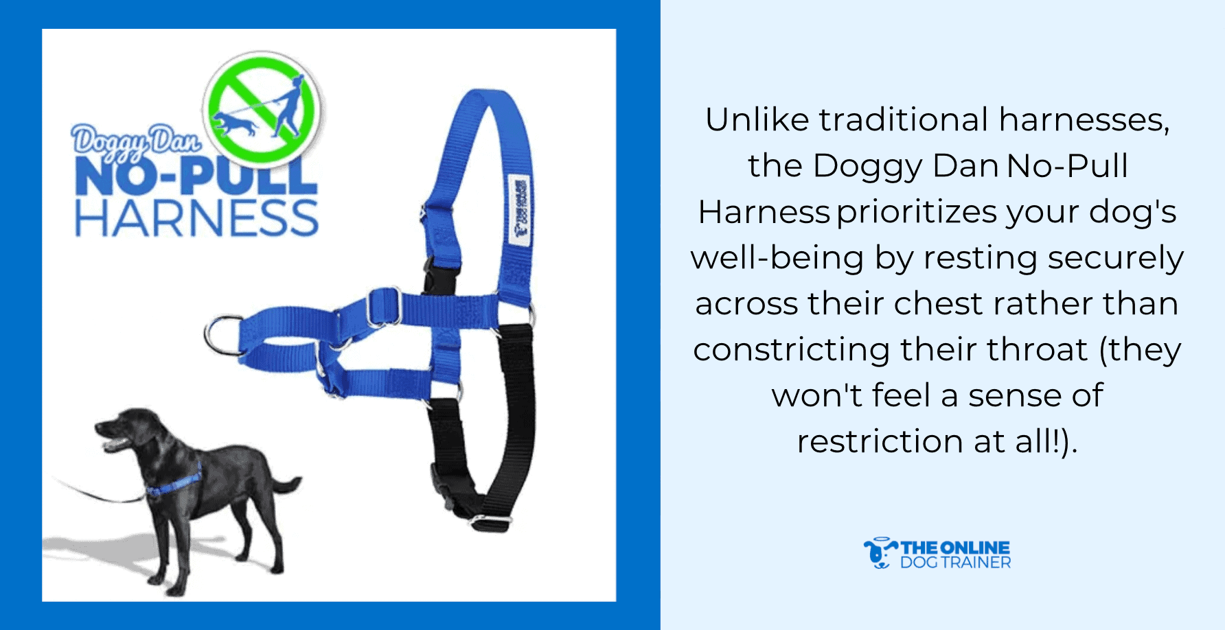 best leash for dogs
