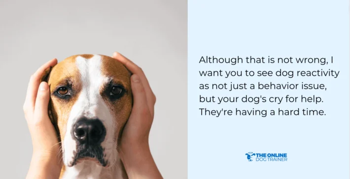 how to stop dog reactivity