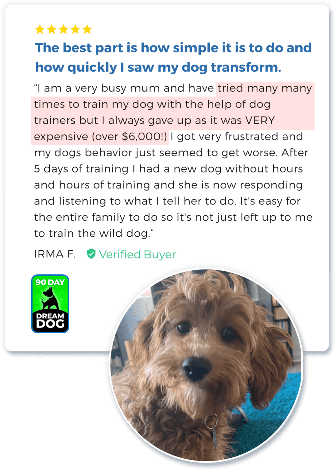 The Online Dog Trainer from Doggy Dan