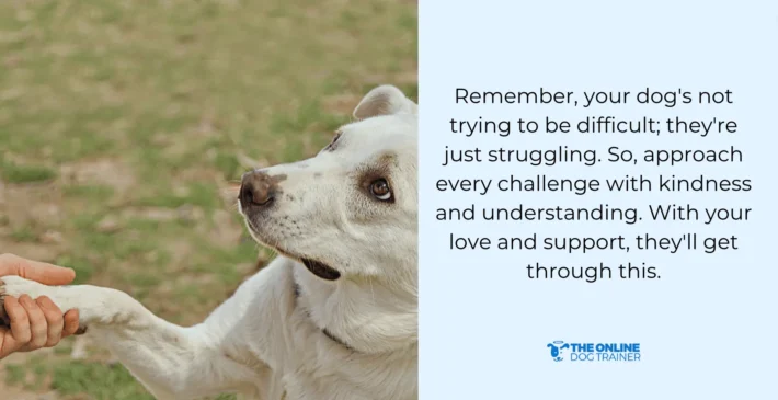 reactive dogs training