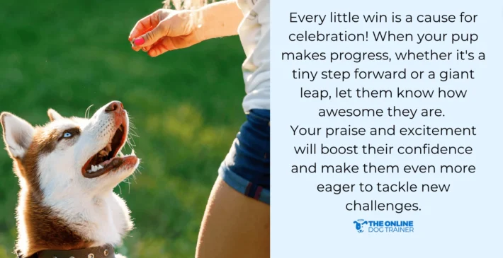 signs of reactive dog