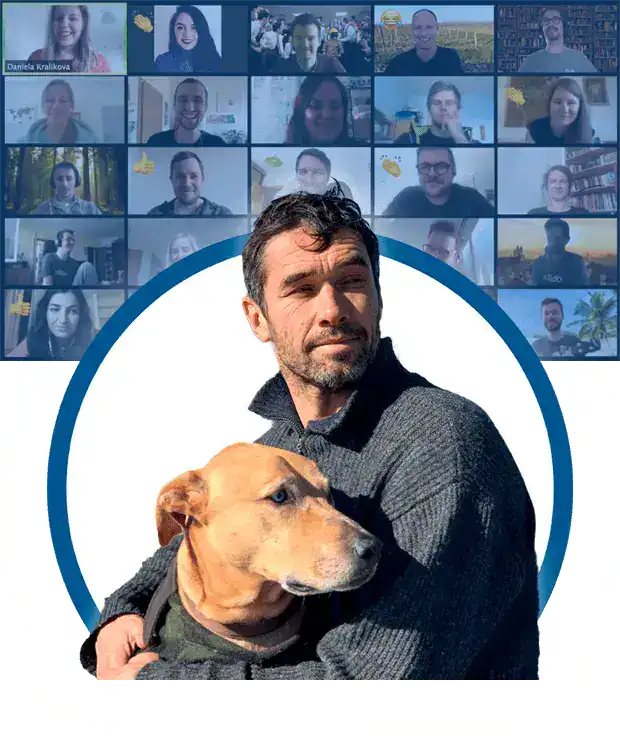 dog training program doggy dan