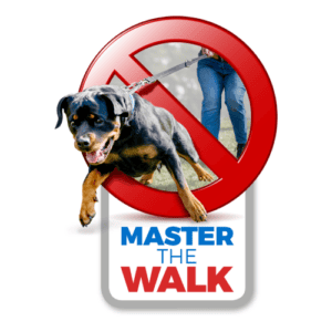 Master The Walk (Webinar Offer)