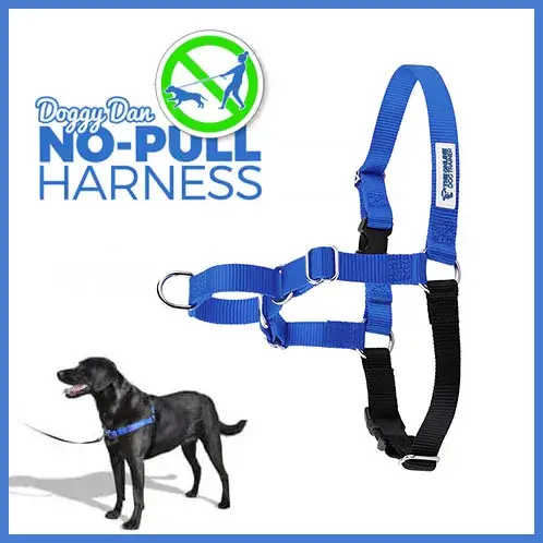 Doggy dan no pull harness