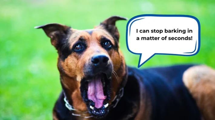 how to stop dog barking in seconds